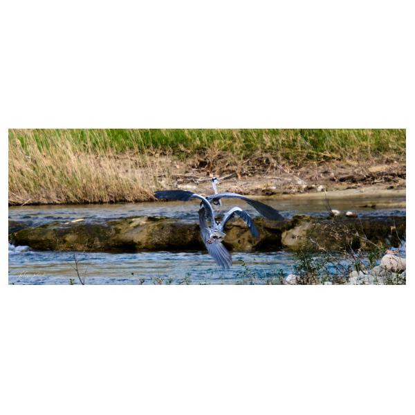 PHOTO84, CLUB, 84 , LUBERON